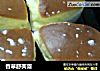 香草舒芙蕾的做法