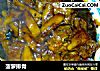 菠萝排骨的做法