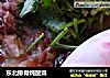东北排骨炖酸菜的做法