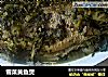 雪菜黄鱼煲的做法