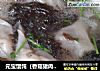 元宝馄饨（香菇猪肉馅）的做法