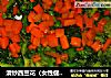 清炒西兰花（女性健康版）的做法