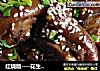 红烧版----花生焖猪蹄的做法