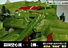 蒜辣空心菜－－【傳統的家常炒菜】的做法