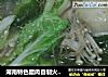 湖南特色腊肉自制火锅（炖锅）的做法