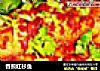 香煎红杉鱼的做法