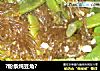 ?粉条炖豆角?的做法