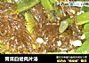 青菜白蛤肉片汤的做法