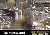 【莲子红枣银耳羹】的做法