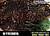 老干妈烧鲫鱼的做法