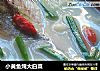 小黄鱼炖大白菜的做法