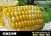 奶油玉米棒的做法