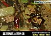 韭菜腌菜土豆片汤的做法