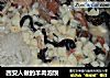 西安人做的羊肉泡馍的做法