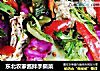 东北农家酱拌手撕菜的做法