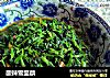 酸辣雪里蕻的做法
