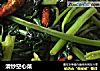 清炒空心菜的做法