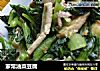 家常油菜豆腐的做法