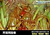 芹菜炖粉条的做法