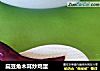 扁豆角木耳炒鸡蛋的做法