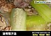 猪骨瓠子汤的做法