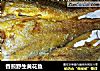 香煎野生黄花鱼的做法
