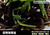 蒜香海带丝的做法