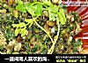 海蛎煎做法（3）的做法