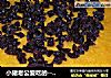 小猪老公爱吃的---奶油南瓜派的做法