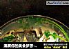 沸腾你的美食梦想---煲鱼头汤的做法