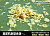 豆浆机创意食谱--儿童营养蔬菜米糊的做法