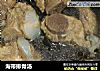 海带排骨汤的做法