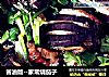 省油版--家常烧茄子的做法