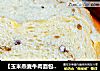 【玉米燕麦牛肉面包】---- 全面营养的面包的做法