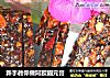新手教你做阿胶固元膏的做法