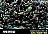 养生杂粮饭的做法