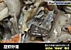 甜虾炒菇的做法