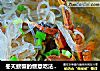 冬天螃蟹的惬意吃法---螃蟹粉丝煲的做法
