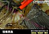 粉条蒸鱼的做法