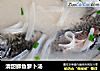清甜鲫鱼箩卜汤的做法