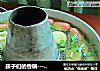 孩子们的香锅----排骨馄饨饺子锅的做法