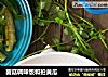 菌菇调味饭和拍黄瓜的做法