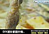 DIY滋补家庭什锦火锅的做法