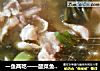 一鱼两吃——酸菜鱼、鱼骨汤的做法