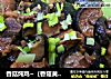香菇炖鸡~（香菇黄焖鸡~~~）的做法