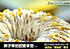 栗子季的甜蜜享受---栗子奶油蛋糕的做法