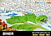 酸辣腊肉的做法