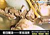 冬日暖汤——羊排汤煲的做法