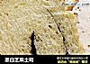 黑白芝麻土司的做法