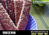 香酥芝麻条的做法